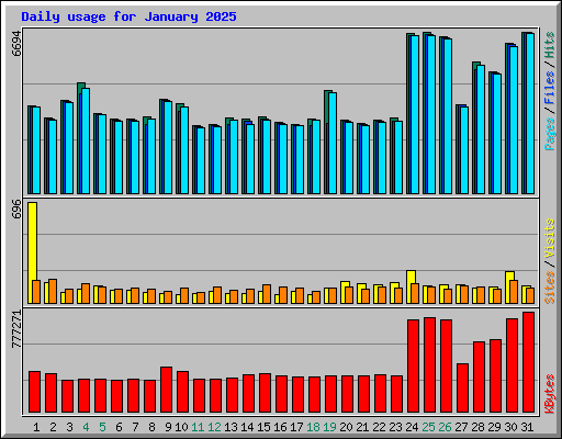 Daily usage for January 2025