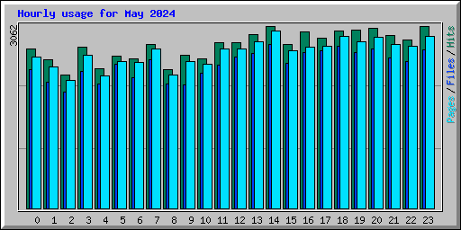 Hourly usage for May 2024