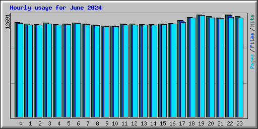 Hourly usage for June 2024