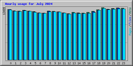 Hourly usage for July 2024