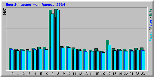 Hourly usage for August 2024