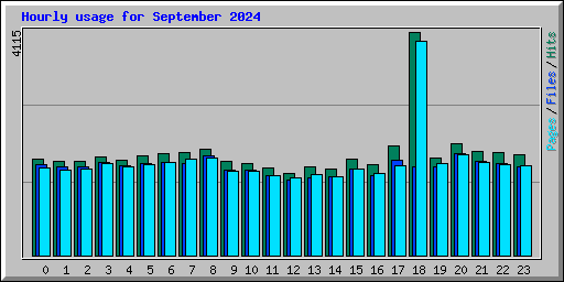 Hourly usage for September 2024