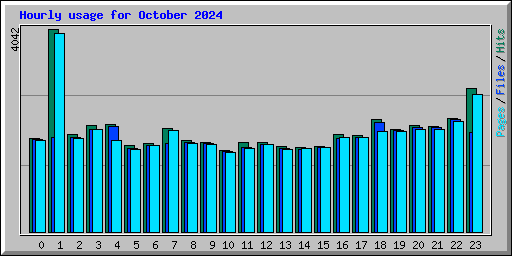 Hourly usage for October 2024