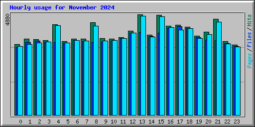 Hourly usage for November 2024