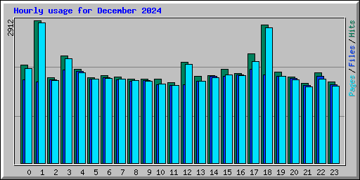 Hourly usage for December 2024