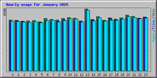 Hourly usage for January 2025