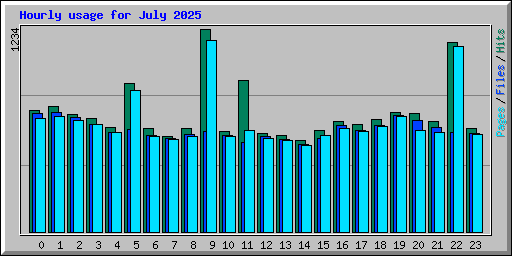 Hourly usage for July 2025