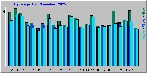 Hourly usage for November 2025