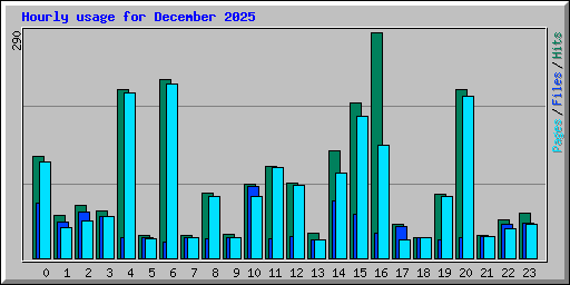 Hourly usage for December 2025