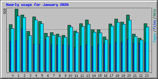 Hourly usage for January 2026