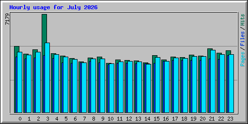 Hourly usage for July 2026